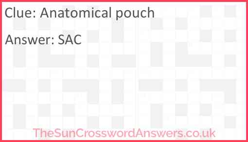 Anatomical pouch Answer