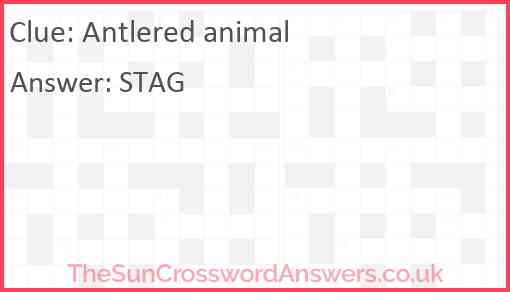 Antlered animal Answer