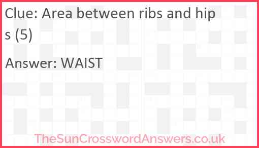 Area between ribs and hips (5) Answer