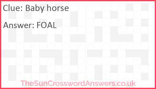 Baby horse Answer