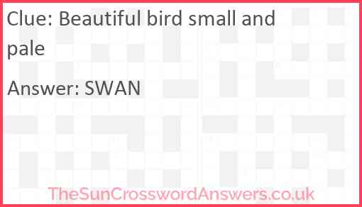 Beautiful bird small and pale Answer