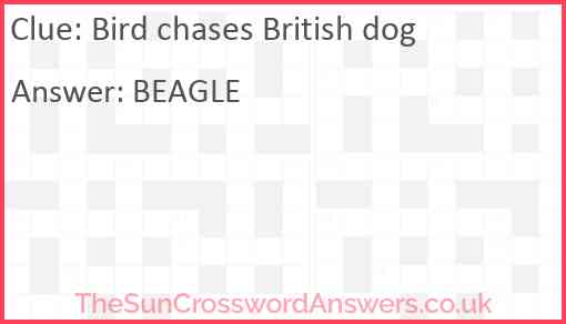 Bird chases British dog Answer