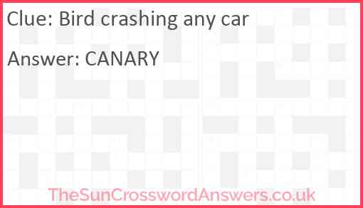 Bird crashing any car Answer