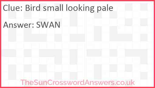 Bird small looking pale Answer