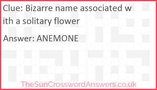 Bizarre name associated with a solitary flower Answer