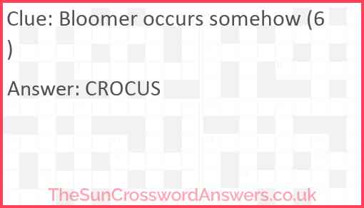 Bloomer occurs somehow (6) Answer