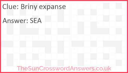 Briny expanse Answer