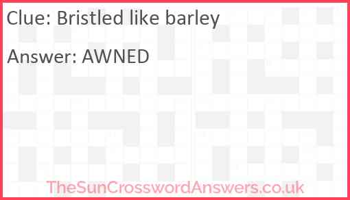 Bristled like barley Answer