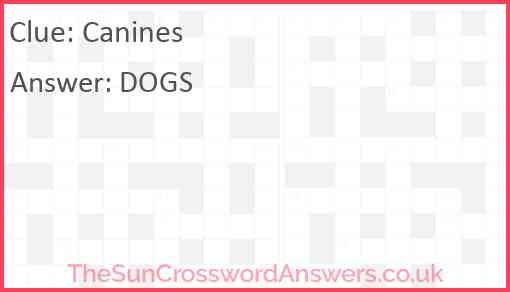 Canines Answer