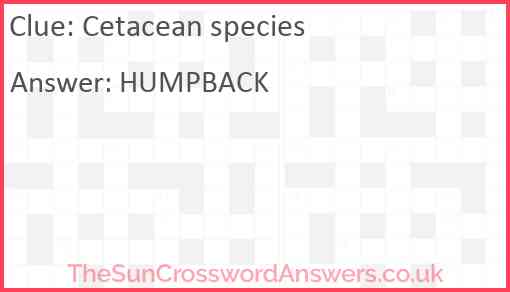 Cetacean species Answer