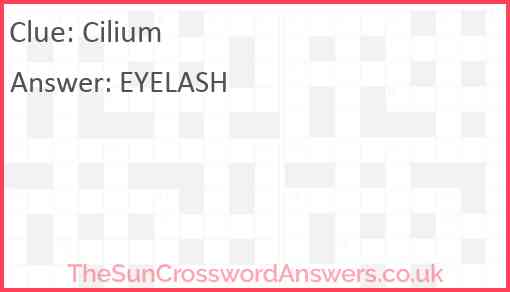 Cilium Answer