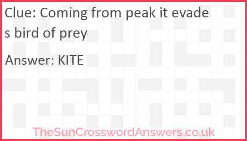 Coming from peak it evades bird of prey Answer