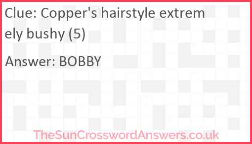 Copper's hairstyle extremely bushy (5) Answer
