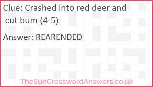Crashed into red deer and cut bum (4-5) Answer