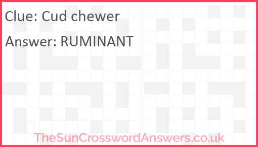 Cud chewer Answer