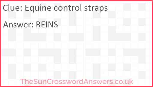 Equine control straps Answer