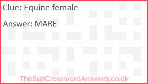 Equine female Answer