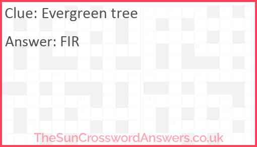 Evergreen tree Answer