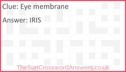 Eye membrane Answer