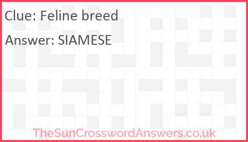 Feline breed Answer