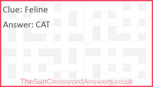 Feline Answer