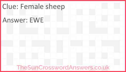 Female sheep Answer