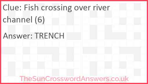 Fish crossing over river channel (6) Answer