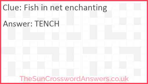 Fish in net enchanting Answer