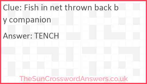 Fish in net thrown back by companion Answer