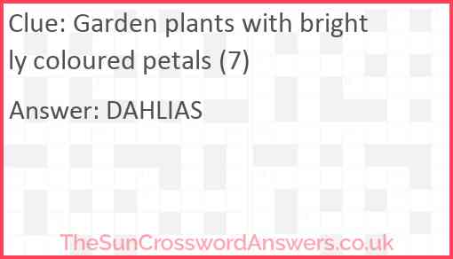 Garden plants with brightly coloured petals (7) Answer