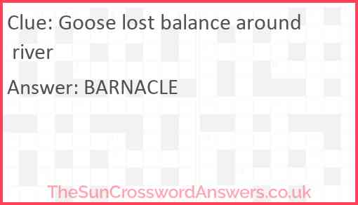 Goose lost balance around river Answer