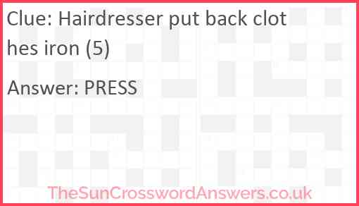 Hairdresser put back clothes iron (5) Answer