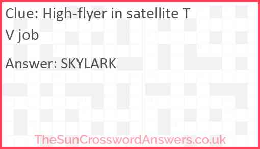 High-flyer in satellite TV job Answer