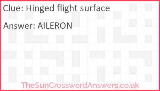 Hinged flight surface Answer