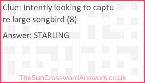 Intently looking to capture large songbird (8) Answer