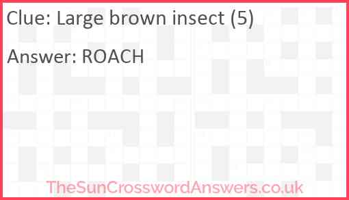 Large brown insect (5) Answer