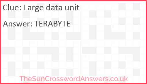 Large data unit Answer