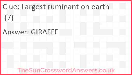 Largest ruminant on earth (7) Answer