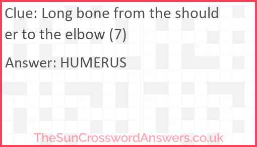 Long bone from the shoulder to the elbow (7) Answer