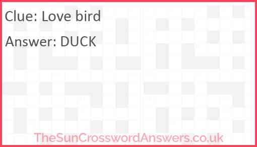 Love bird Answer