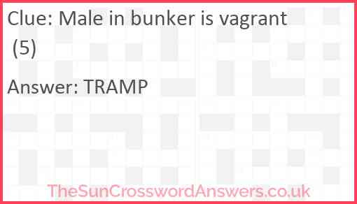 Male in bunker is vagrant (5) Answer