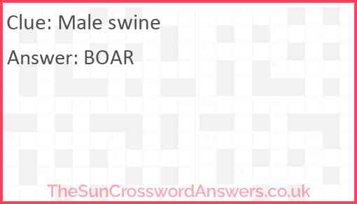 Male swine Answer