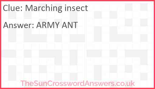 Marching insect Answer