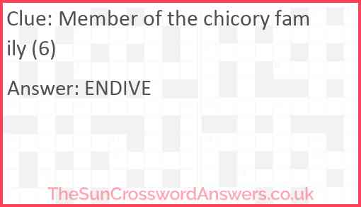 Member of the chicory family (6) Answer