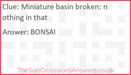 Miniature basin broken: nothing in that Answer