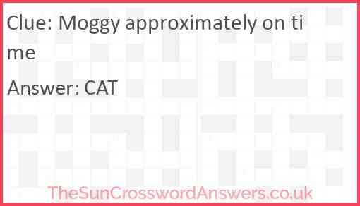 Moggy approximately on time Answer