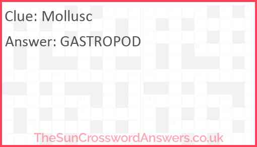 Mollusc Answer