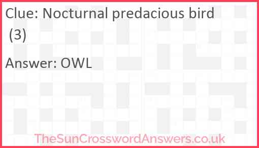 Nocturnal predacious bird (3) Answer