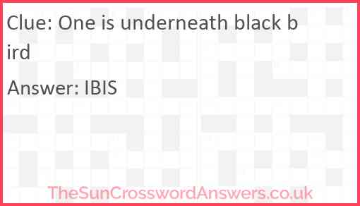 One is underneath black bird Answer