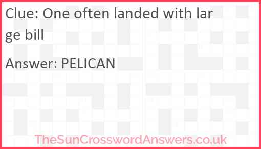 One often landed with large bill Answer